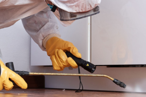 Messie Schädlingsbekämpfung Weiden In Der Oberpfalz